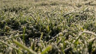 Ілюстративне фото / www.pexels.com