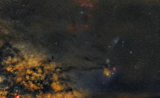 Ілюстративне фото / www.pexels.com