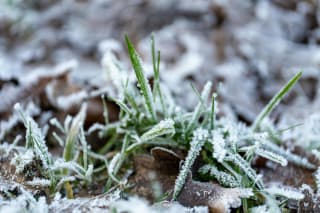 Ілюстративне фото / www.pexels.com