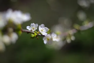 Ілюстративне фото / www.pexels.com