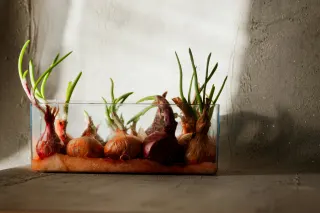 Ілюстративне фото / www.pexels.com