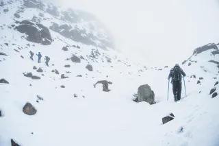 Ілюстративне фото / www.pexels.com