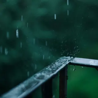 Ілюстративне фото / www.pexels.com