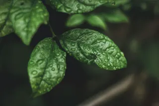 Ілюстративне фото / www.pexels.com