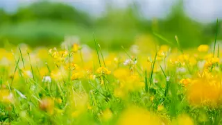 Ілюстративне фото / www.pexels.com