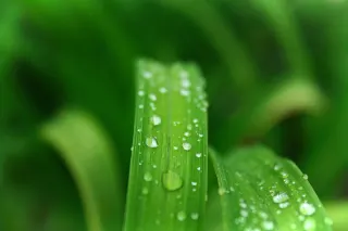 Ілюстративне фото / www.pexels.com