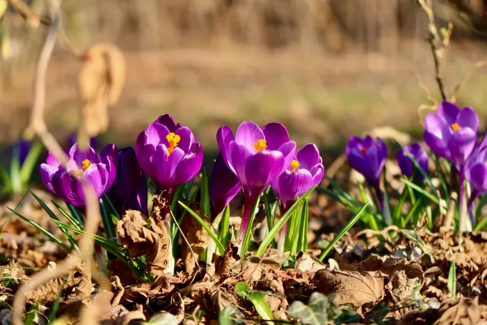 Ілюстративне фото / www.pexels.com