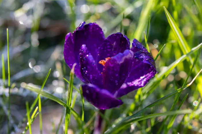 Ілюстративне фото / www.pexels.com