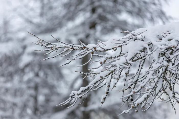 Ілюстративне фото / www.pexels.com