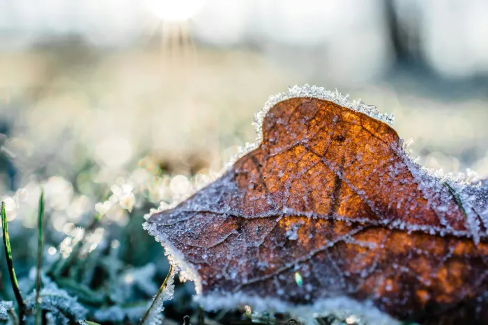 Ілюстративне фото / www.pexels.com
