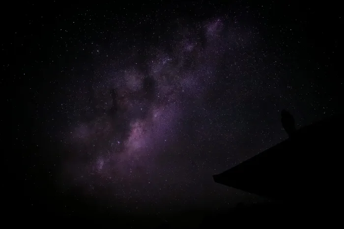 Ілюстративне фото / www.pexels.com