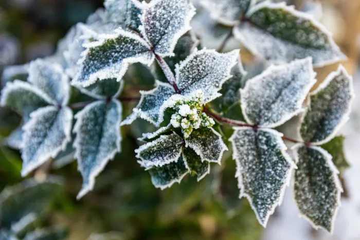 Ілюстративне фото / www.pexels.com