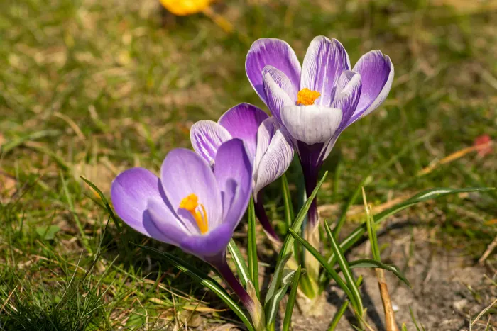 Ілюстративне фото / www.pexels.com