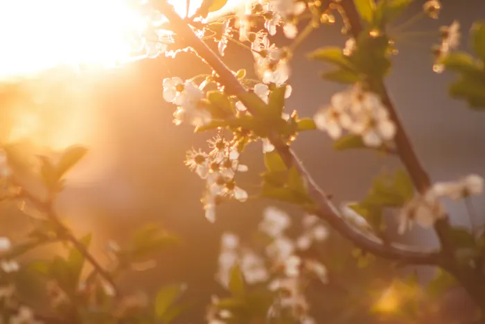 Ілюстративне фото / www.pexels.com