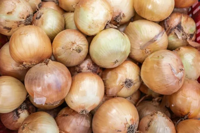 Ілюстративне фото / www.pexels.com