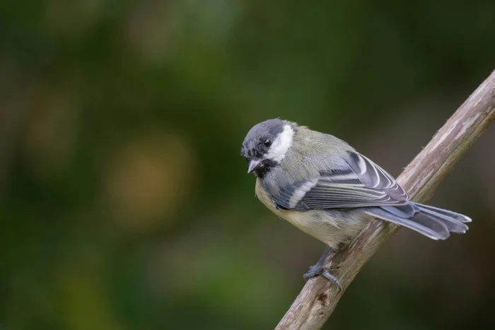 Ілюстративне фото / www.pexels.com