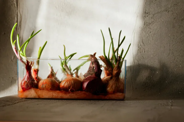 Ілюстративне фото / www.pexels.com