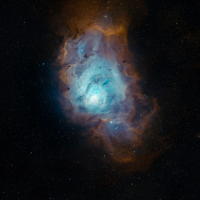 Ілюстративне фото / www.pexels.com