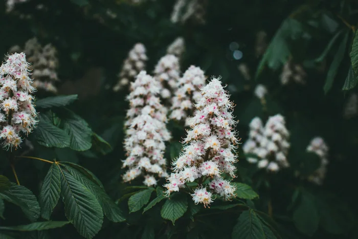 Ілюстративне фото / www.pexels.com