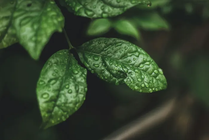 Ілюстративне фото / www.pexels.com