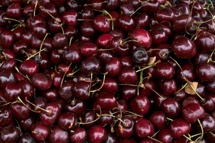 Ілюстративне фото / www.pexels.com