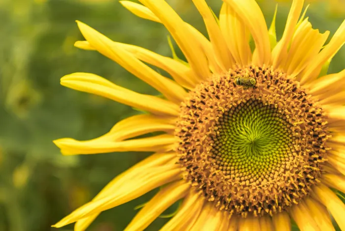 Ілюстративне фото / www.pexels.com