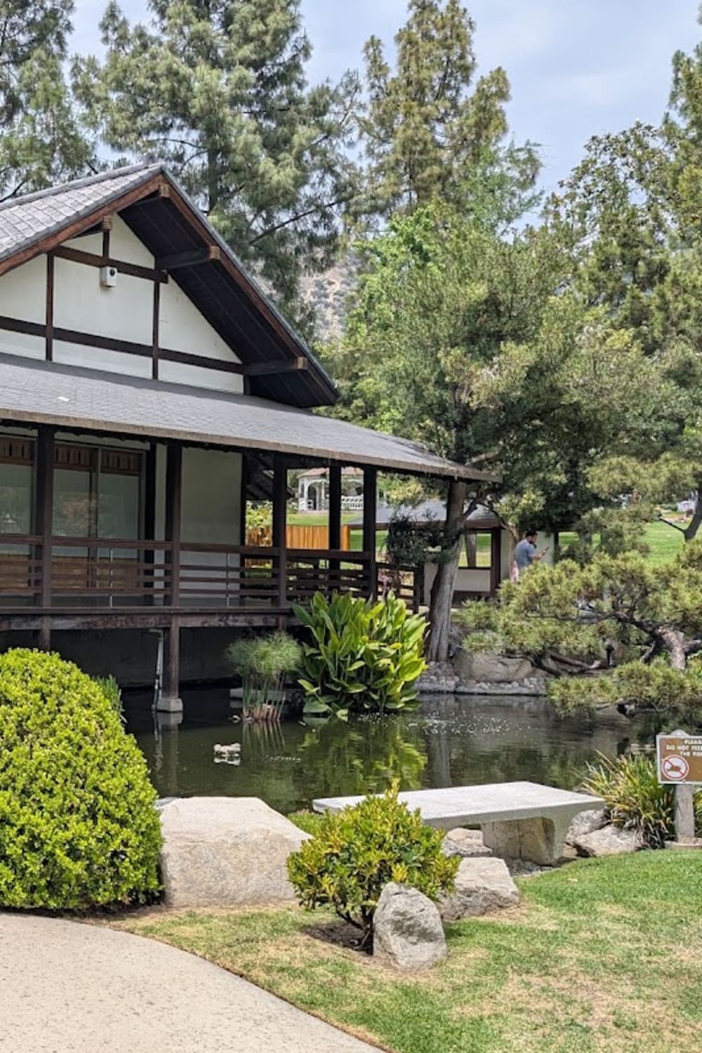 The Shoseian Whispering Pine Japanese Tea House — matcha drink detail