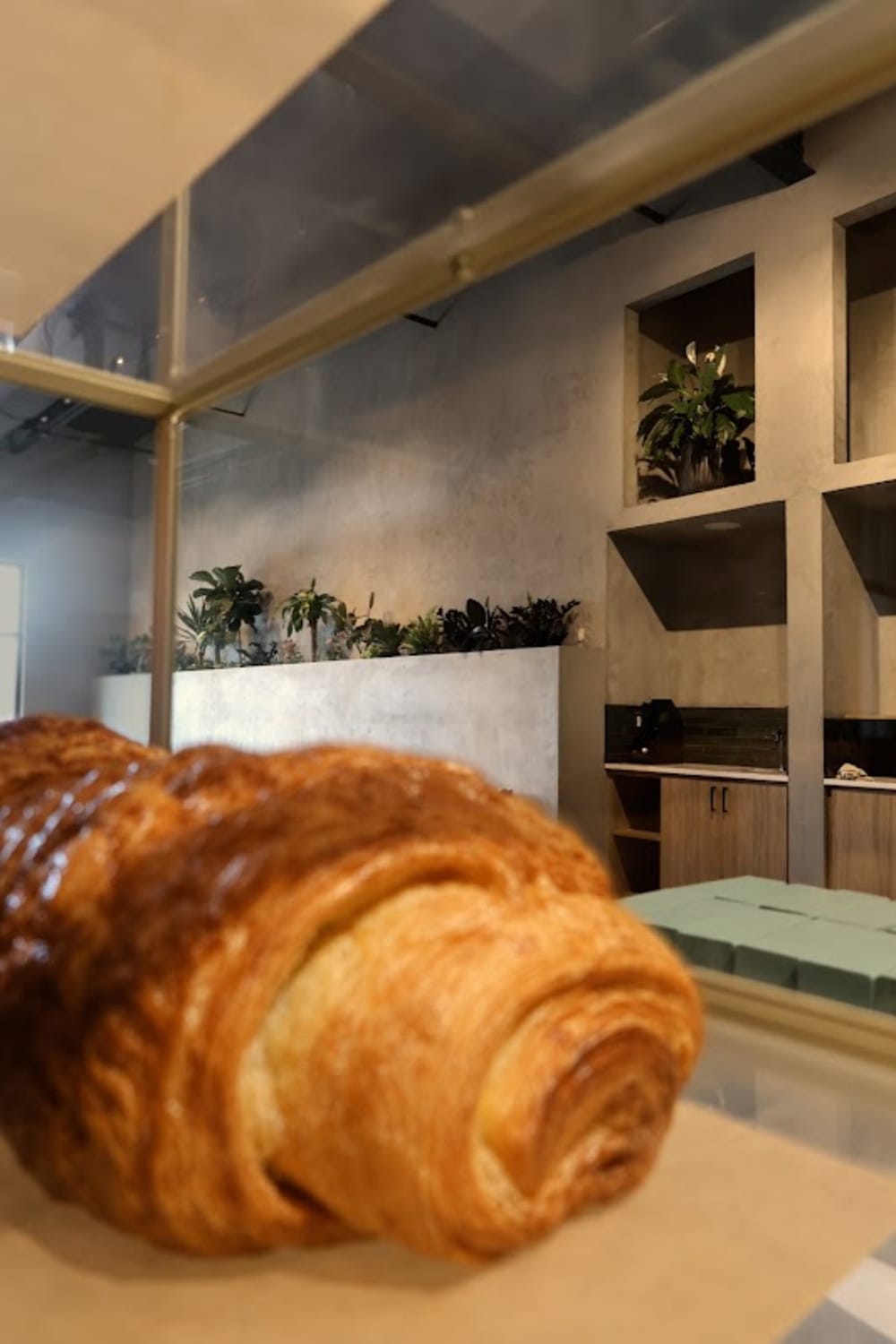 Momo Coffee House — matcha drink detail