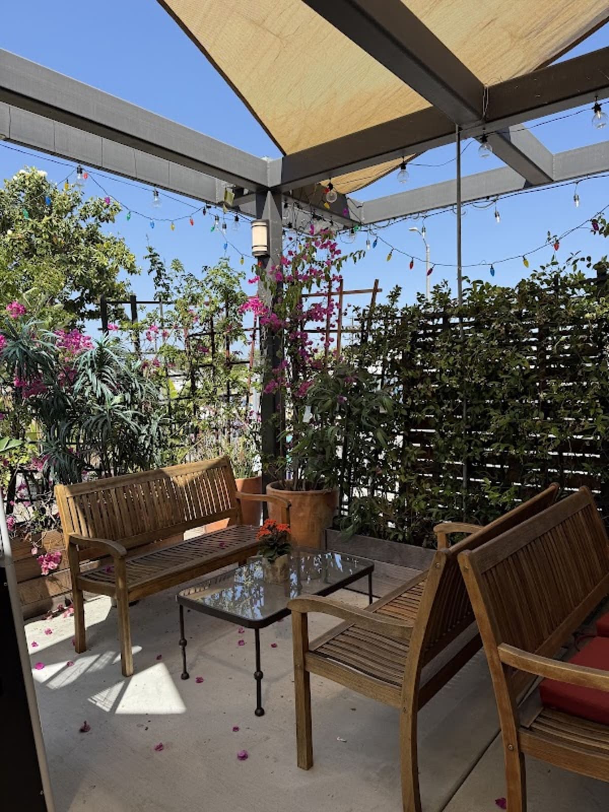 Cafe Du Gallery - Photo 1