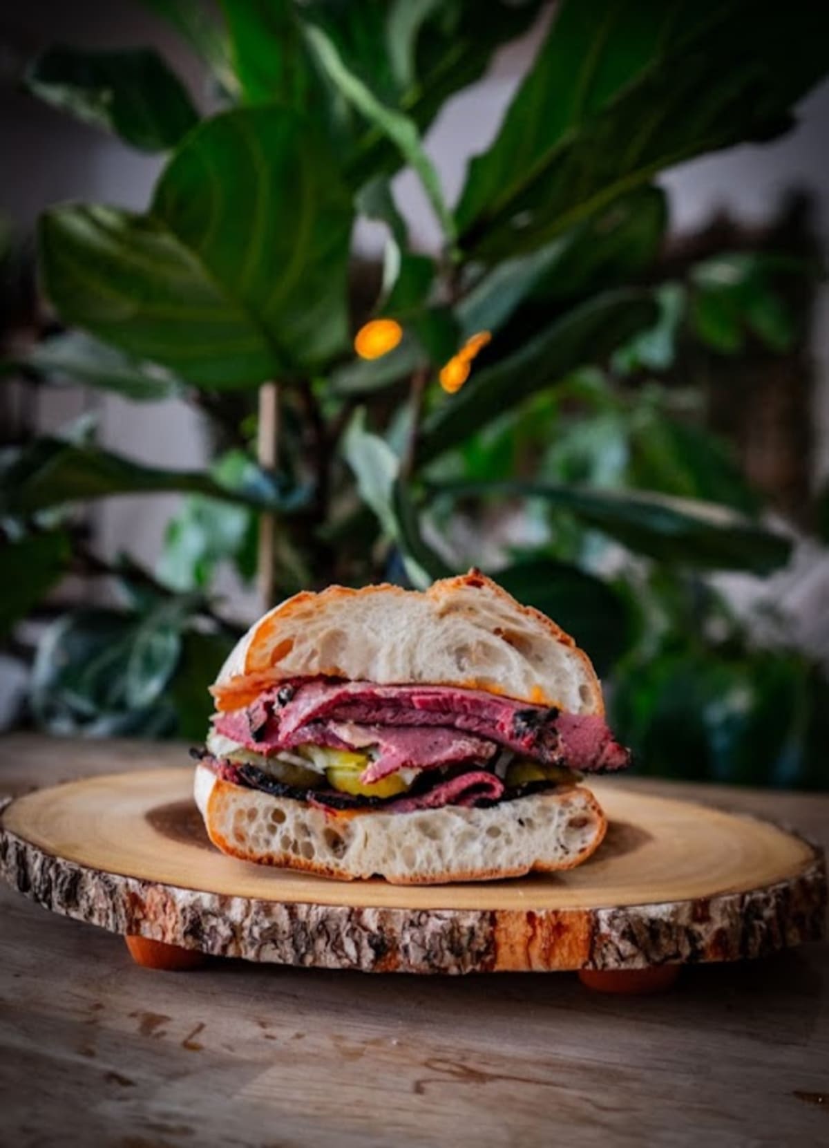 Fiddle Fig Cafe & Coffee - Photo 2