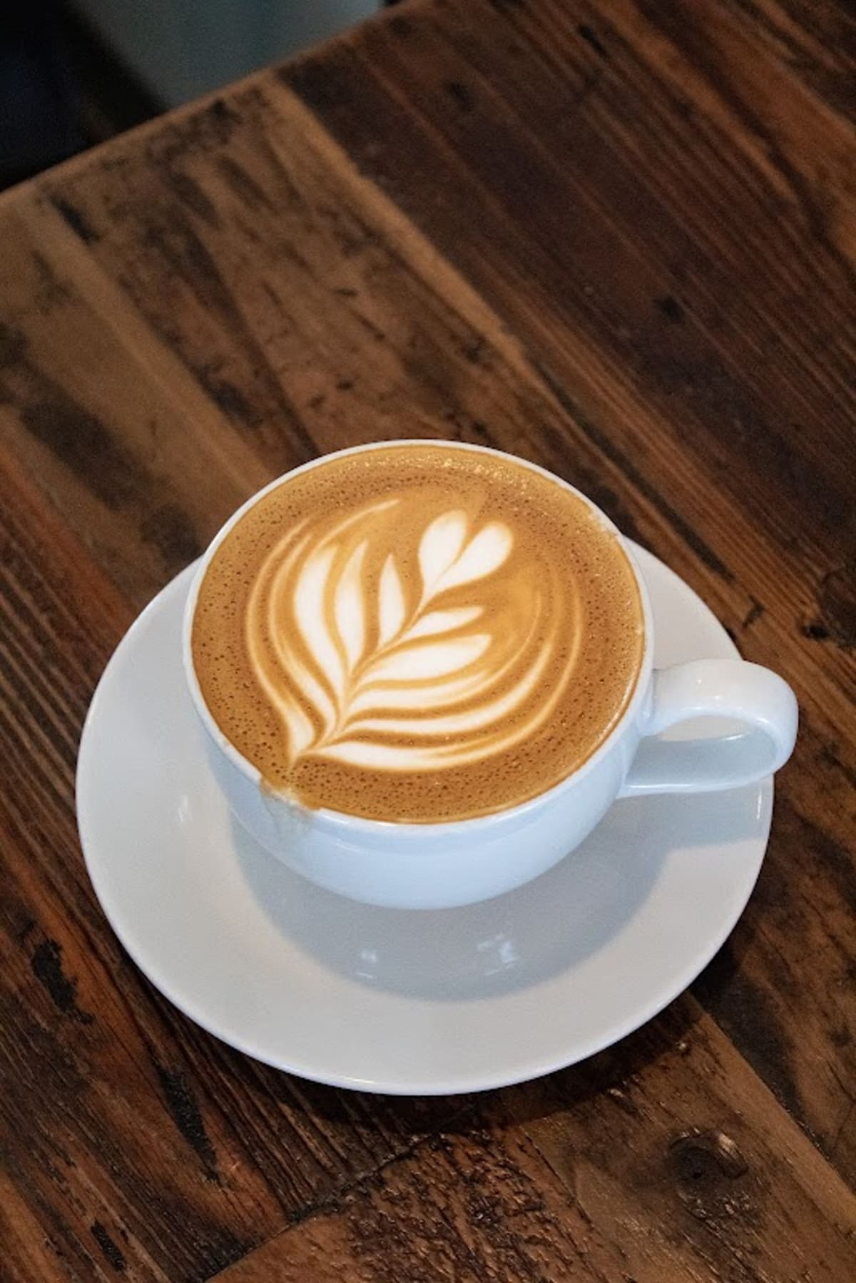 Just Love Coffee Cafe - Photo 3