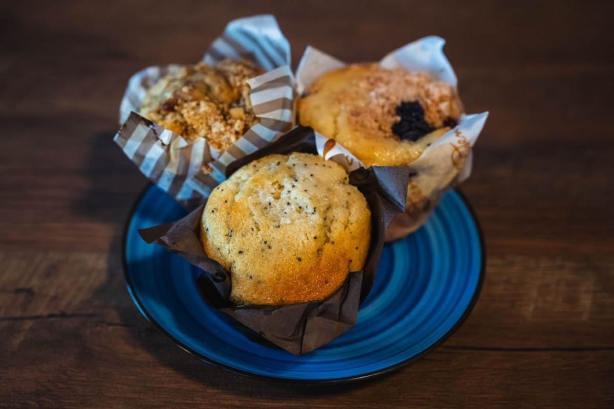 Land Of A Thousand Hills Coffee & Social-Edgehill - Photo 2