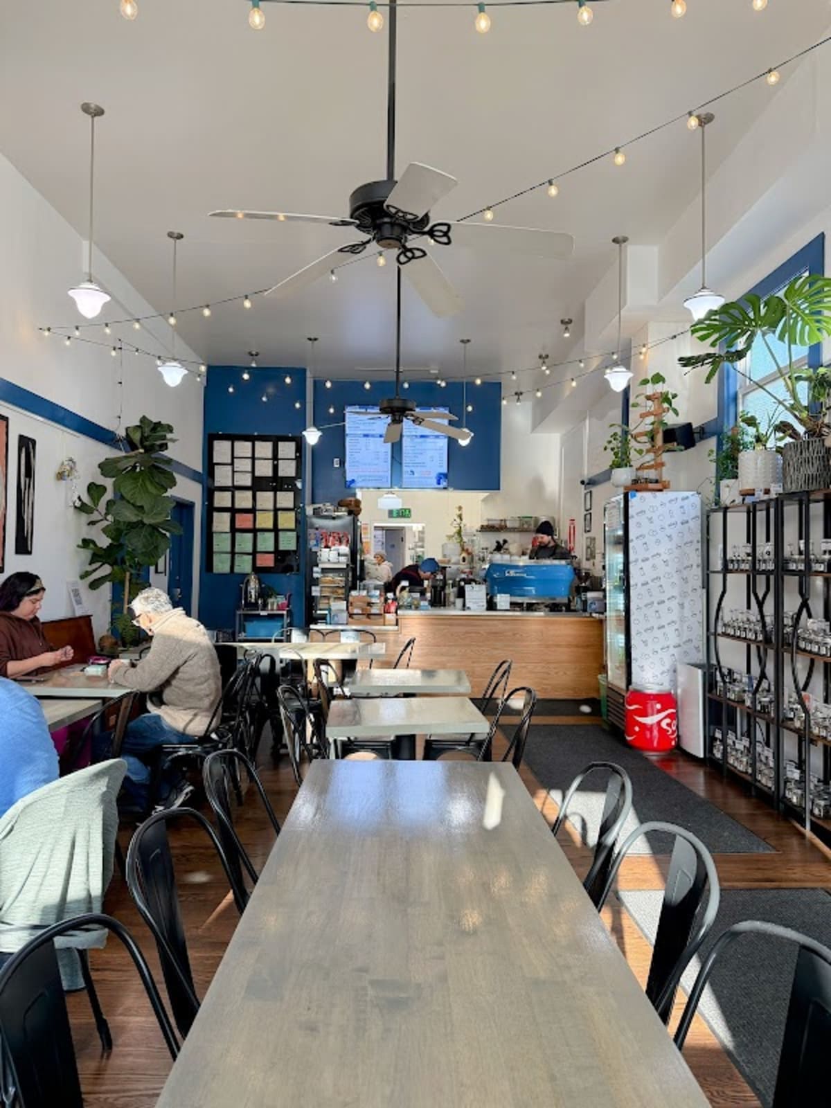 Tea Rex Cafe & Specialty Teas - Photo 1