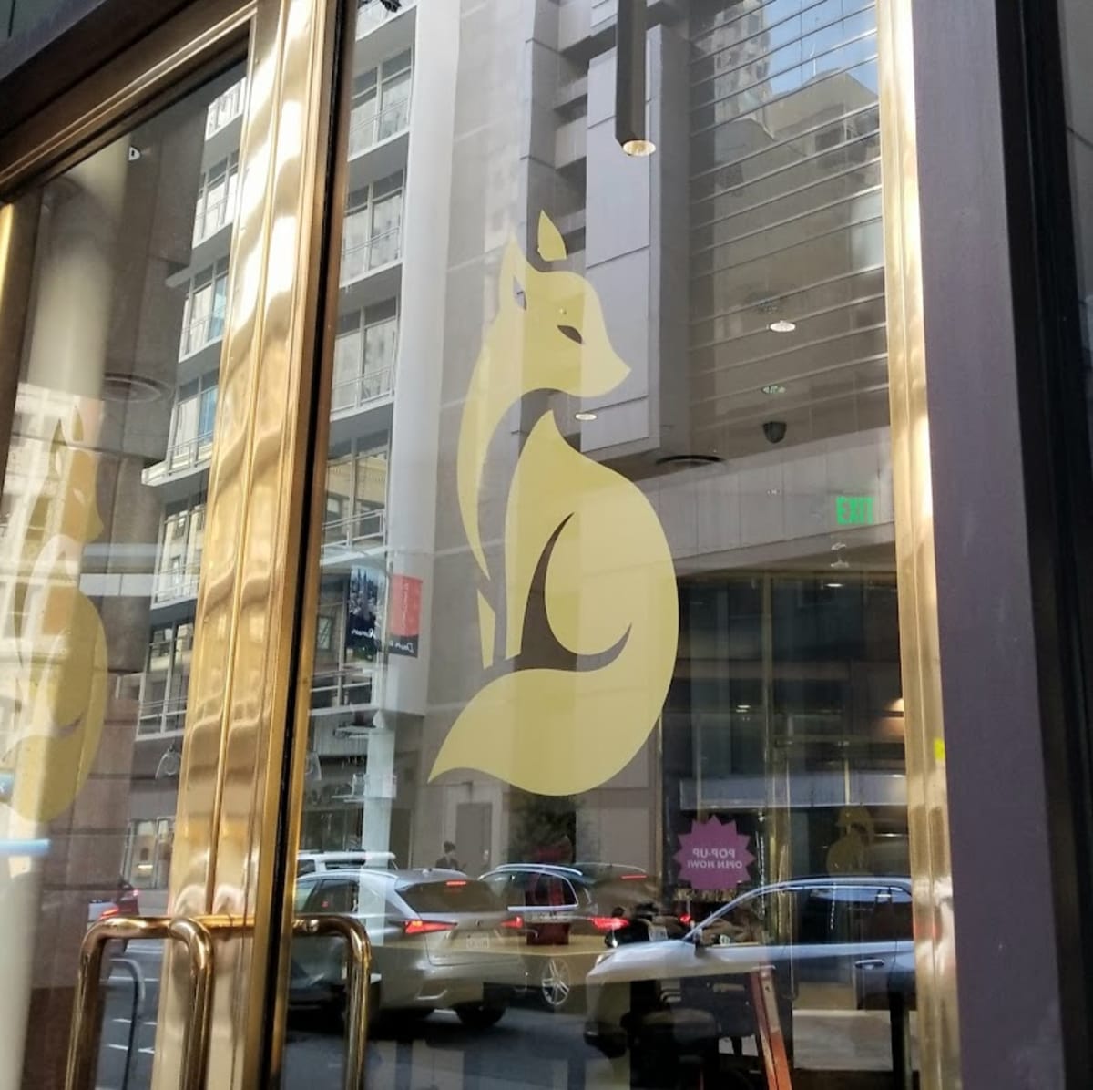 The Wild Fox - Photo 4