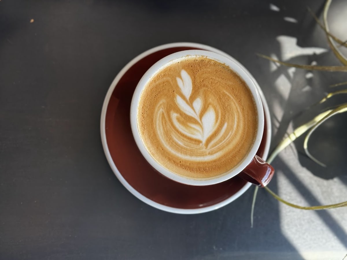 Alchemist Coffee Project - Photo 4