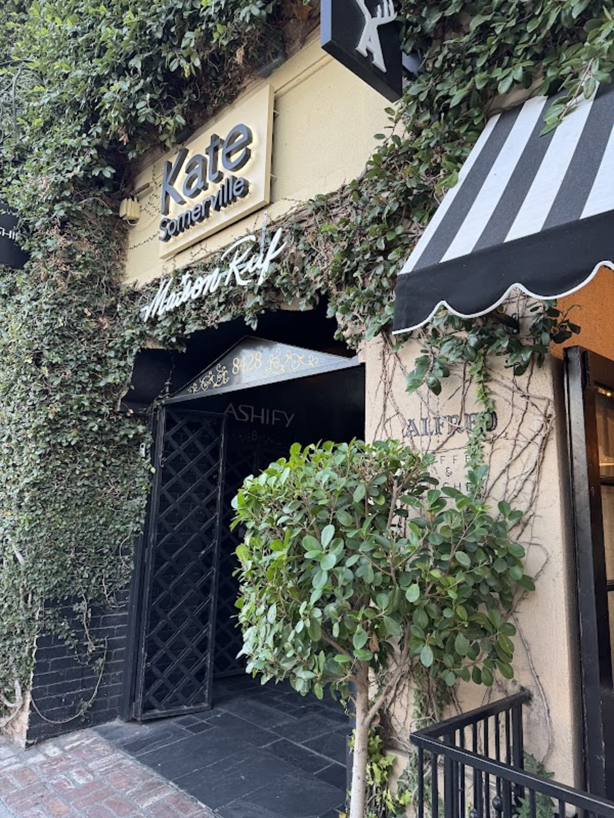 Alfred Coffee - Photo 4