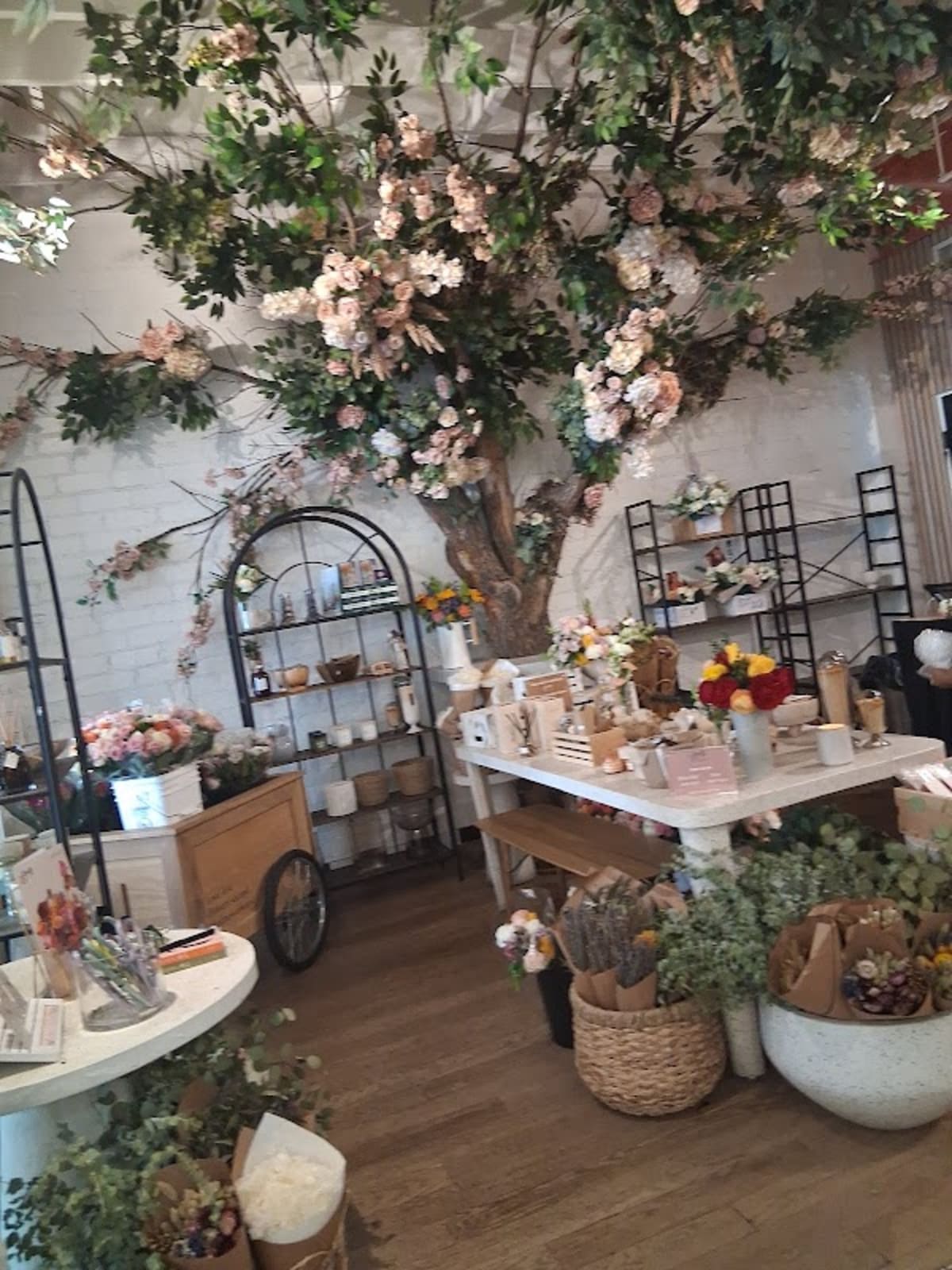 Alfred Coffee - Photo 3