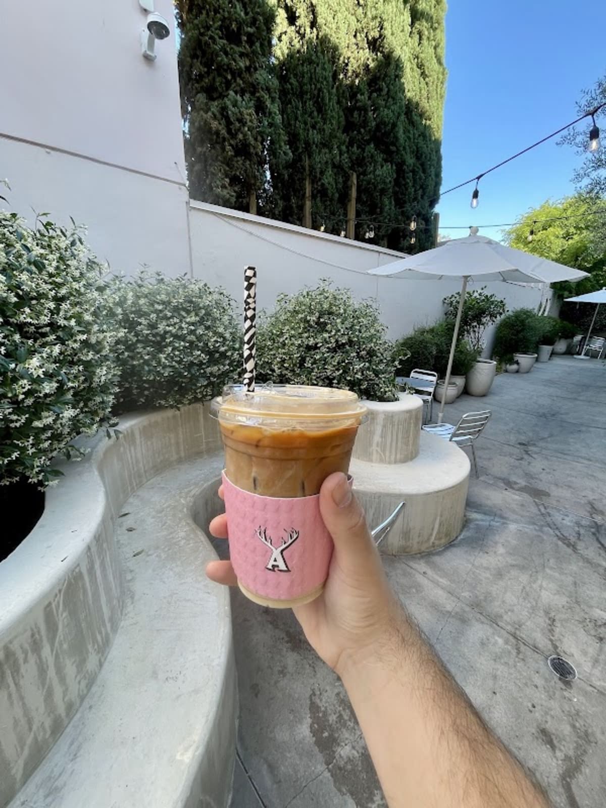 Alfred Coffee - Photo 5