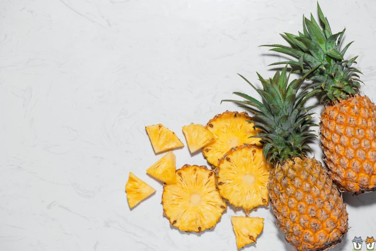 Chinatown Taiwan Fruit Tea - Photo 2