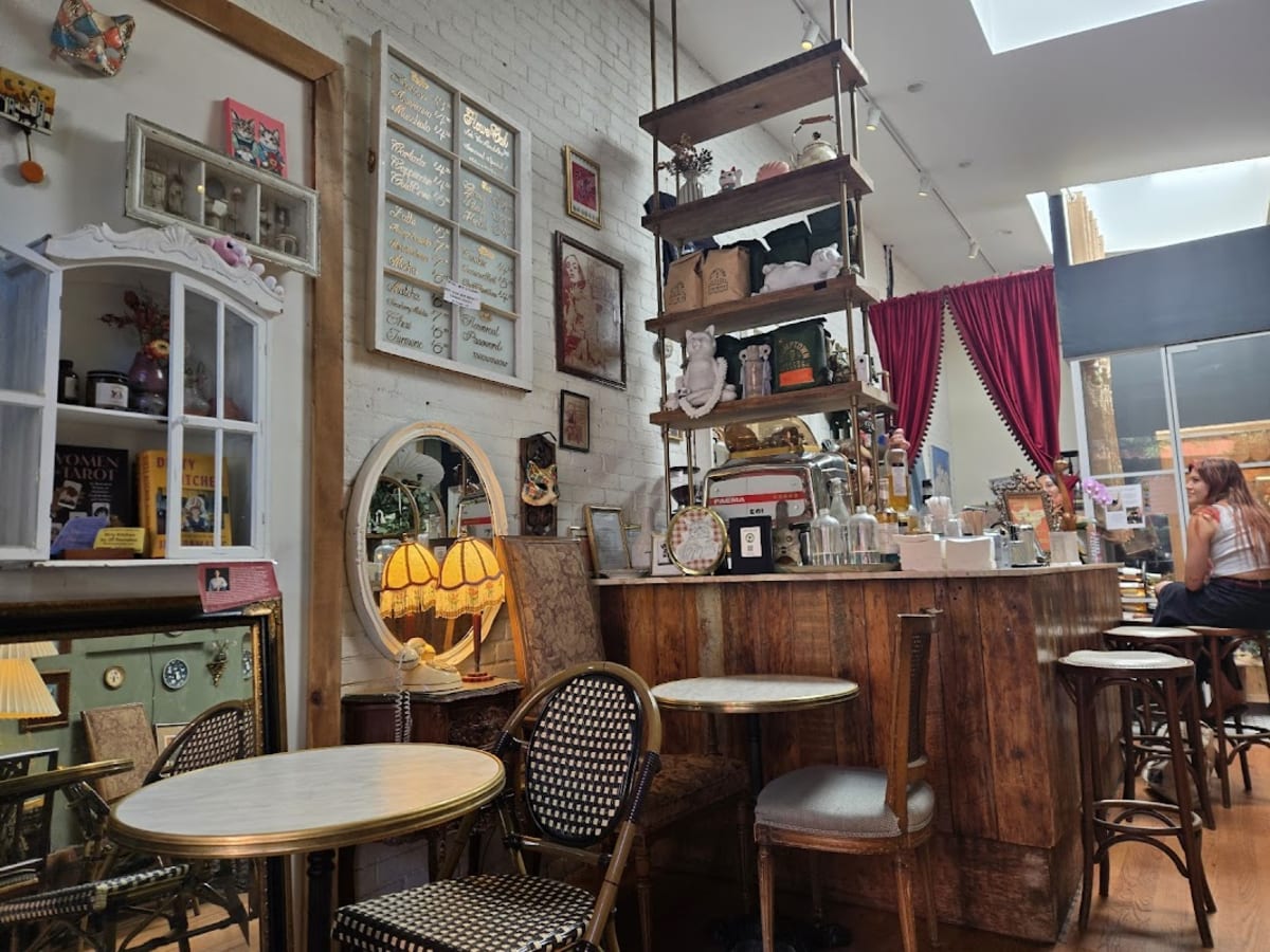 Flower Cat - Photo 5