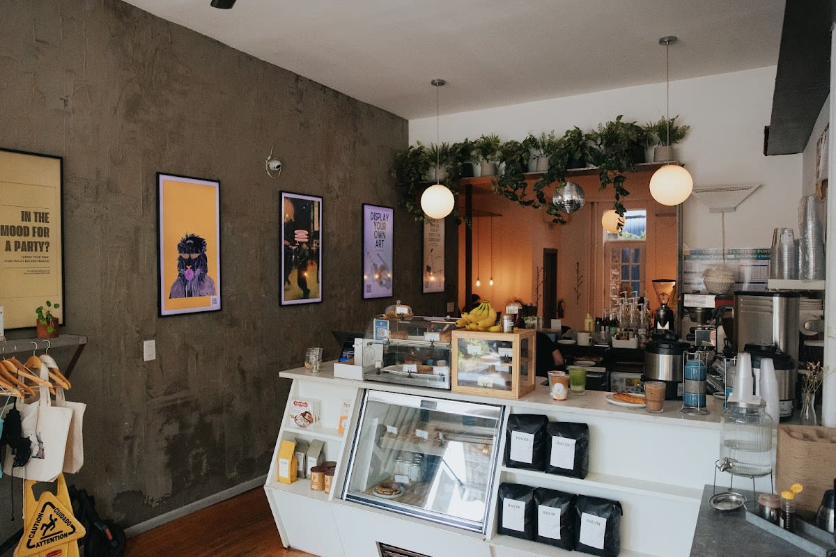 Lion's Milk - Photo 4