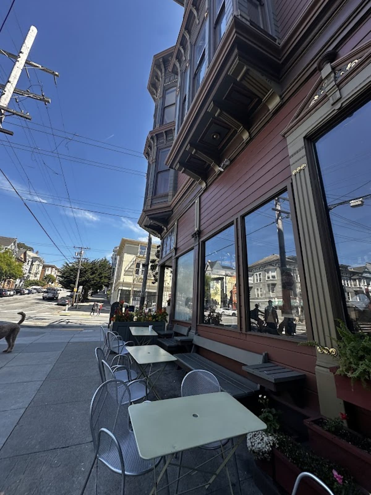 Matching Half - Photo 4