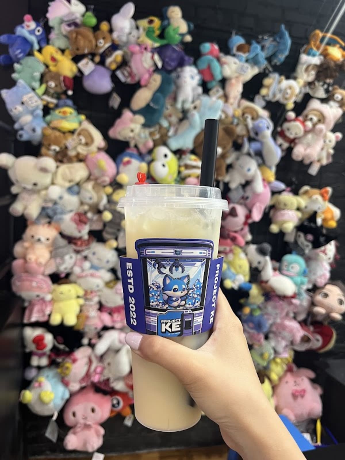 Project TCG - Photo 3