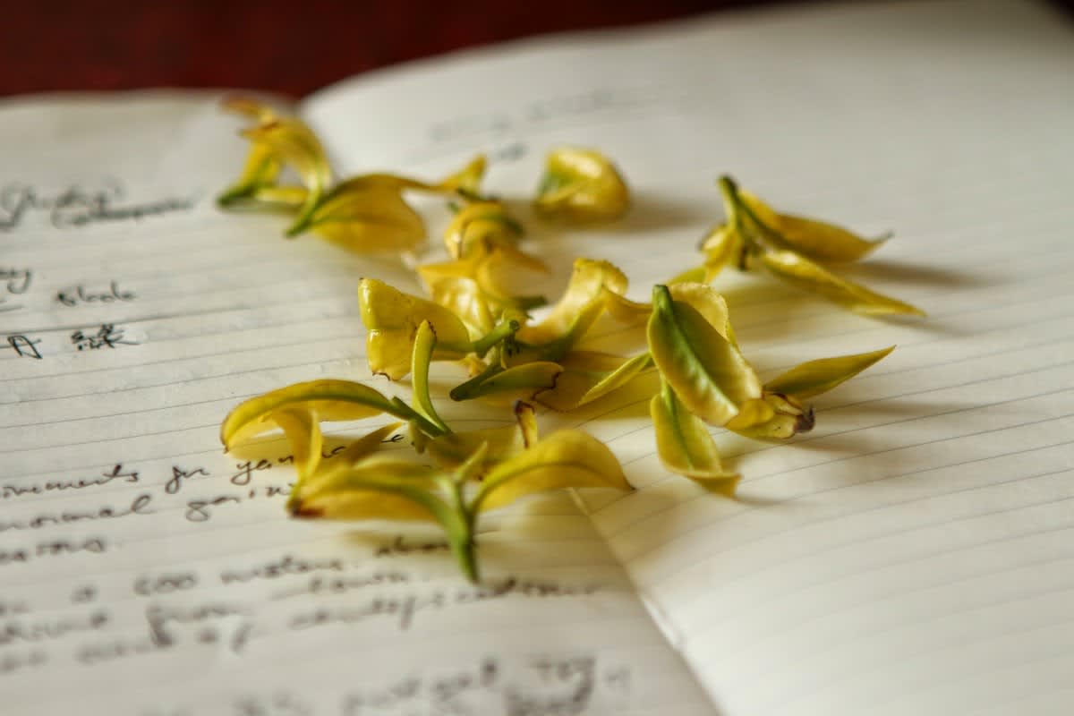 Song Tea & Ceramics - Photo 2