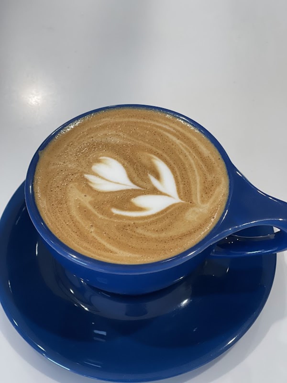 The Coffee Berry SF - Photo 4