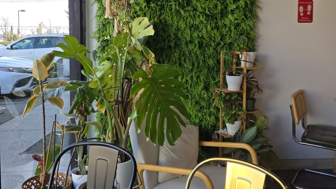 BLTea - Photo 1