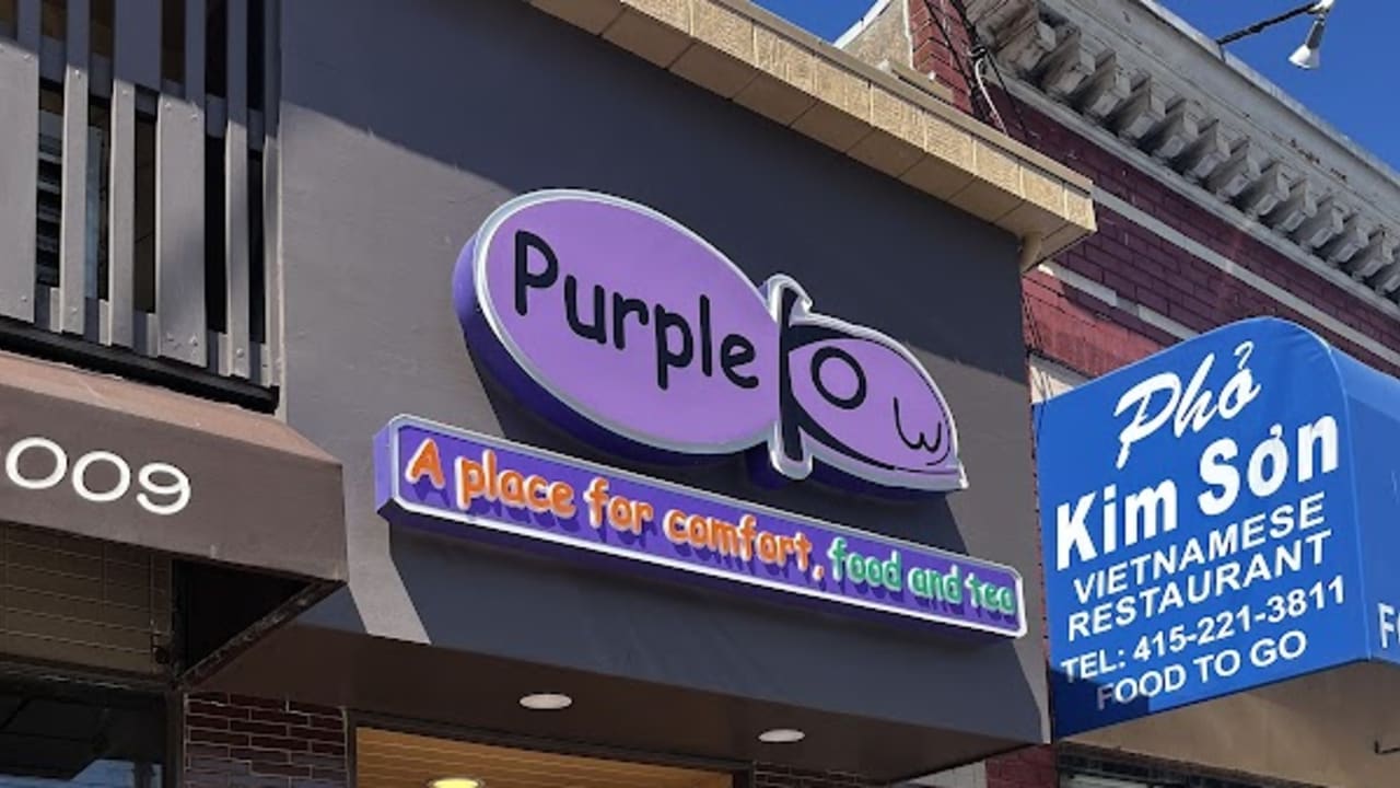 Purple Kow - Photo 4