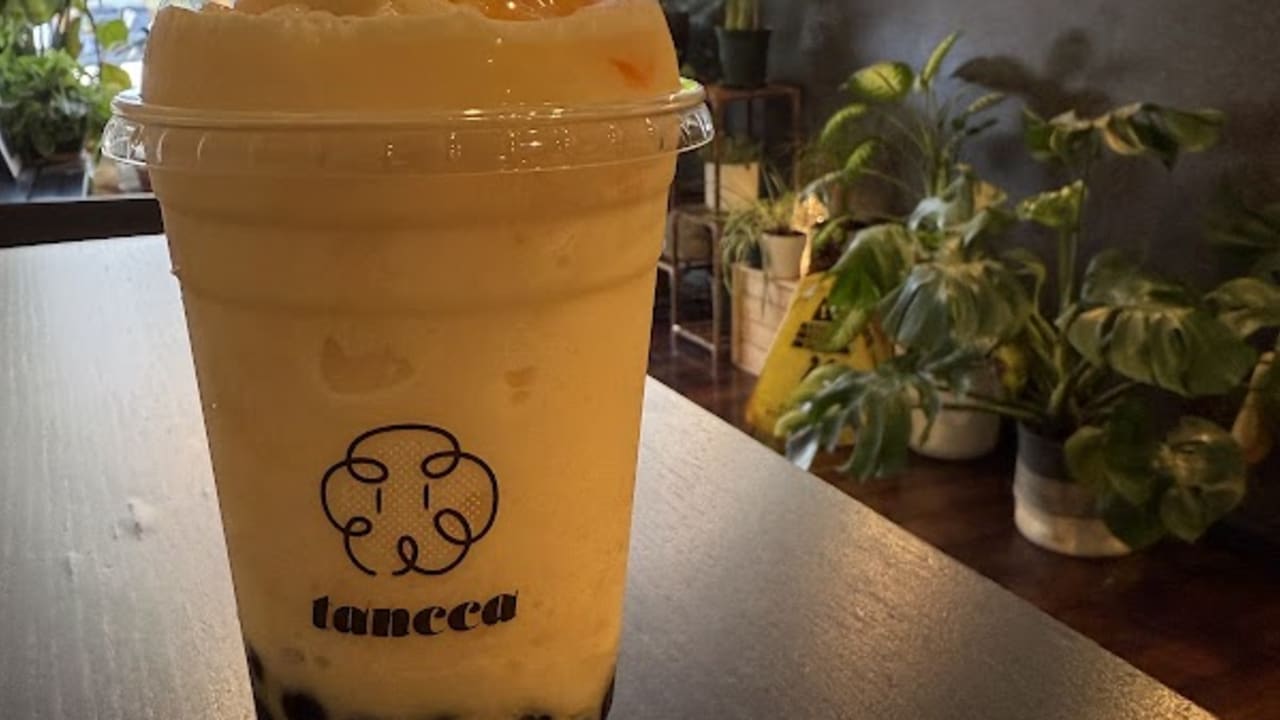 Tancca - Photo 3