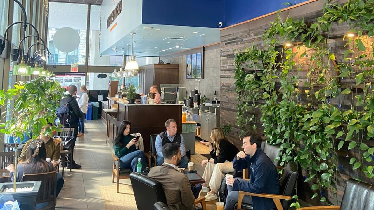 Coffee Bodega Farm-to-Table β matcha shop interior or drinks