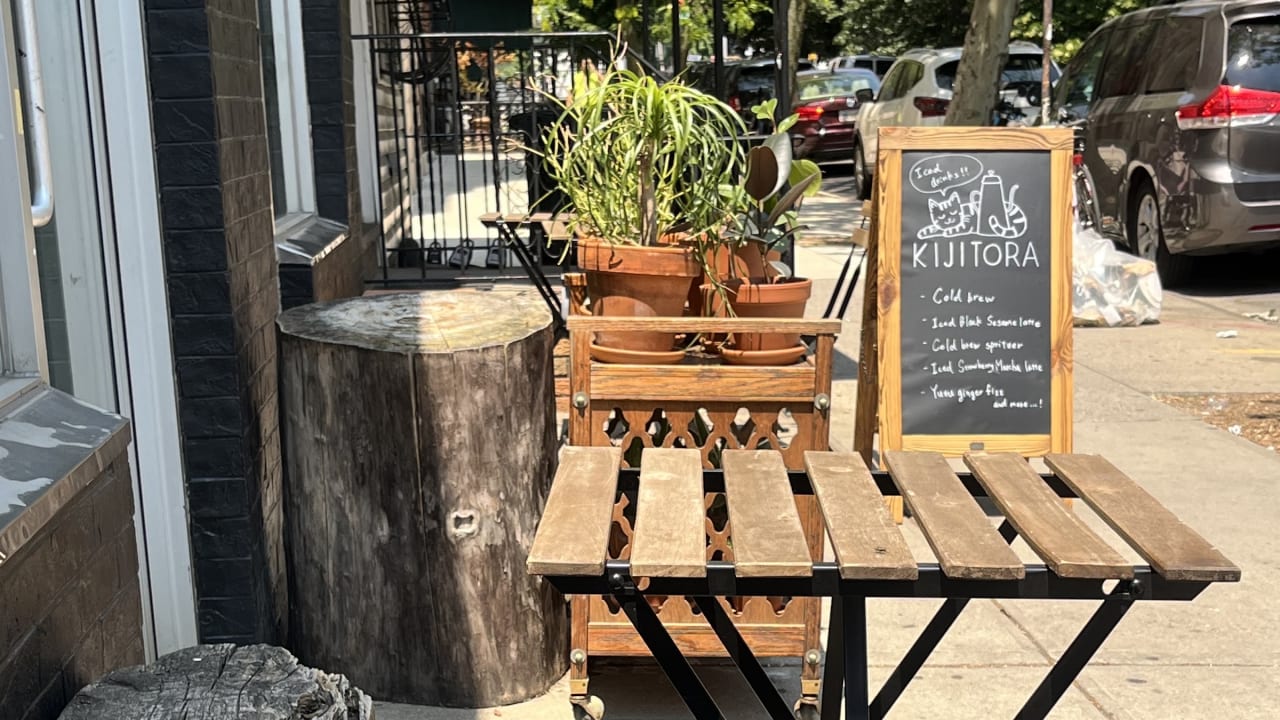 Kijitora - Photo 1